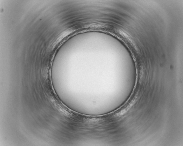 X0000088171017200706051111