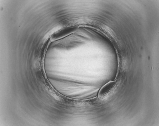 X0000088171018200706051111