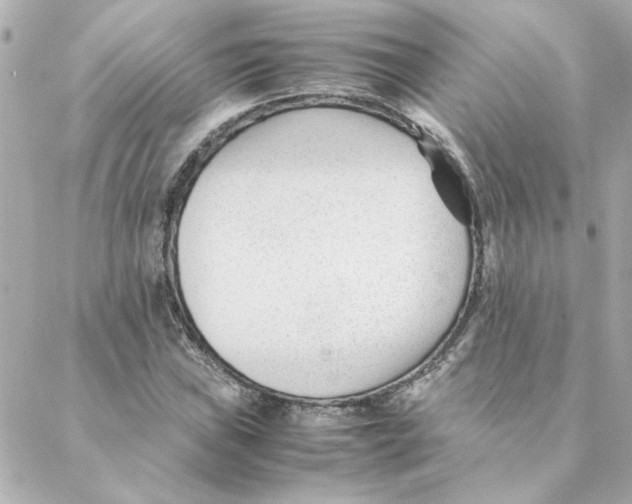 X0000088171019200706051111