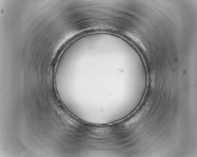 X0000088171021200706051111