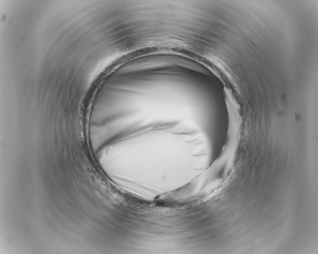 X0000088171022200706051111