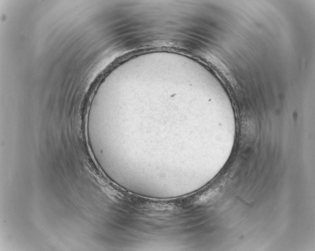 X0000088171023200706051111