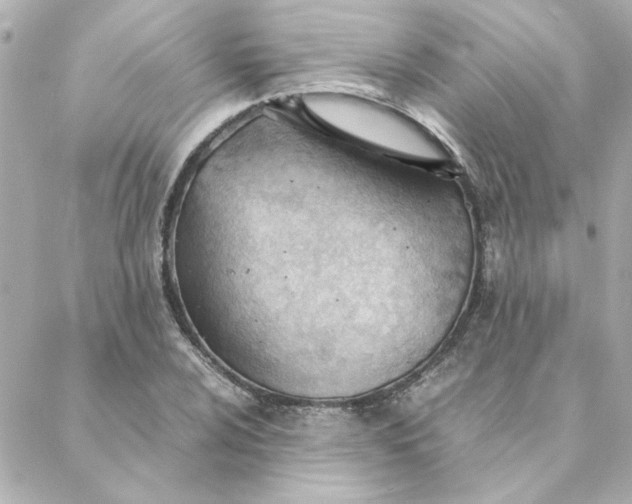 X0000088171024200706051111