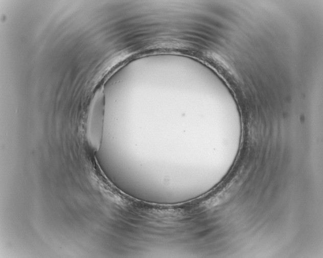 X0000088171025200706051111