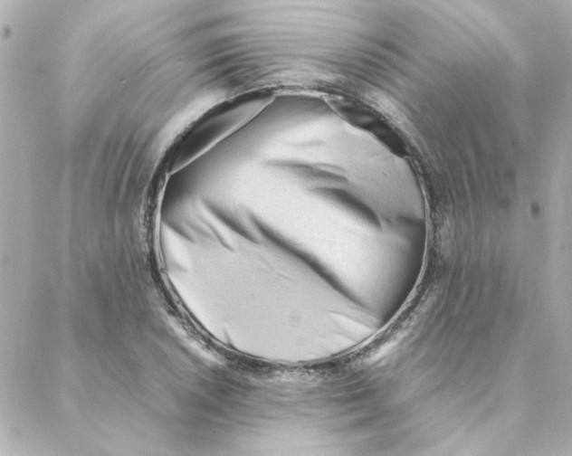 X0000088171026200706051111