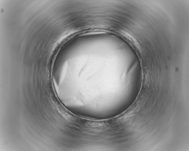 X0000088171027200706051111