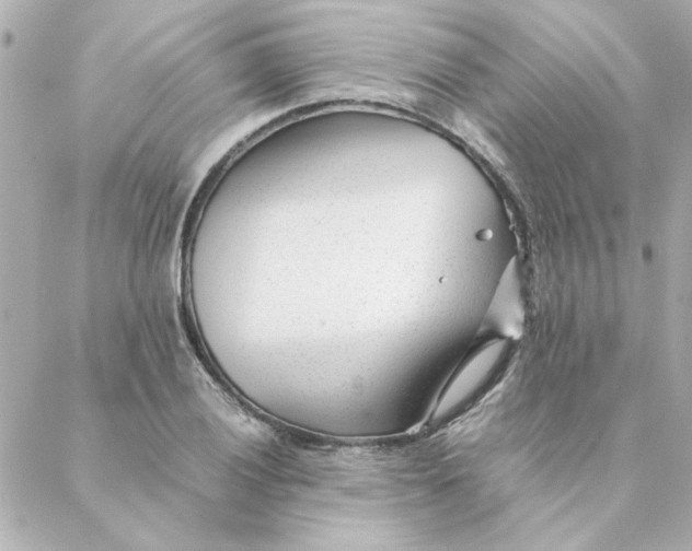 X0000088171028200706051111