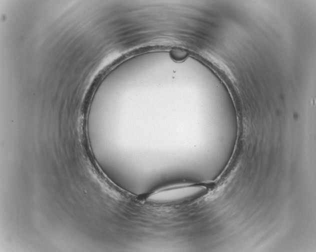 X0000088171029200706051111