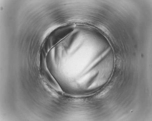 X0000088171030200706051111