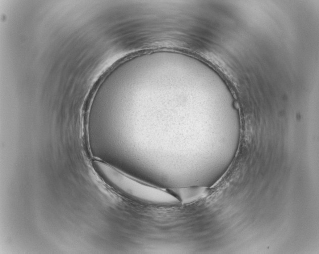 X0000088171031200706051111