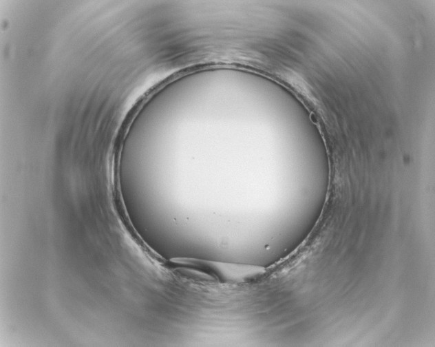 X0000088171032200706051111