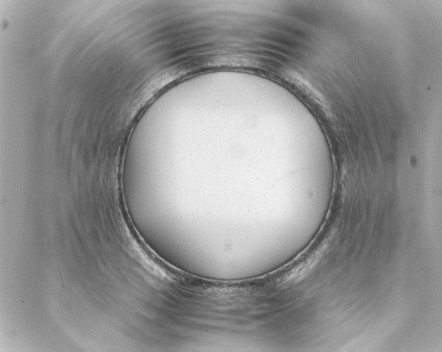 X0000088171033200706051111