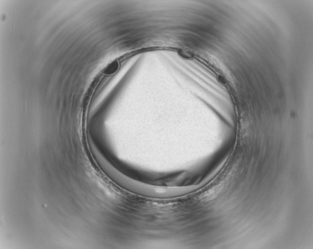 X0000088171035200706051111