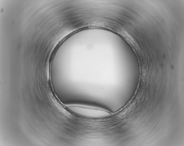 X0000088171036200706051111