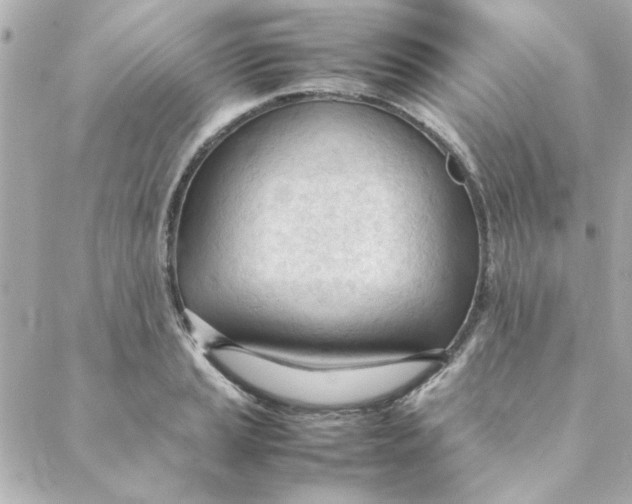 X0000088171037200706051111