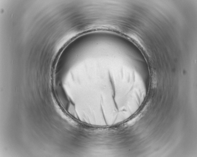 X0000088171038200706051111