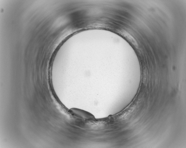 X0000088171039200706051111