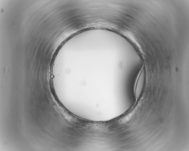 X0000088171040200706051111