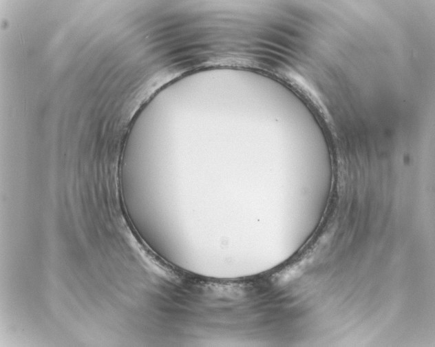 X0000088171041200706051111