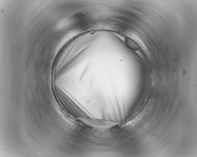 X0000088171043200706051111