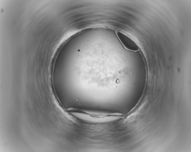 X0000088171045200706051111