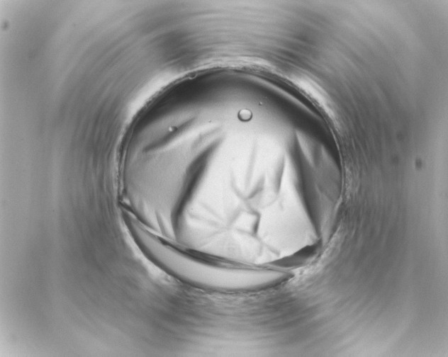 X0000088171046200706051111