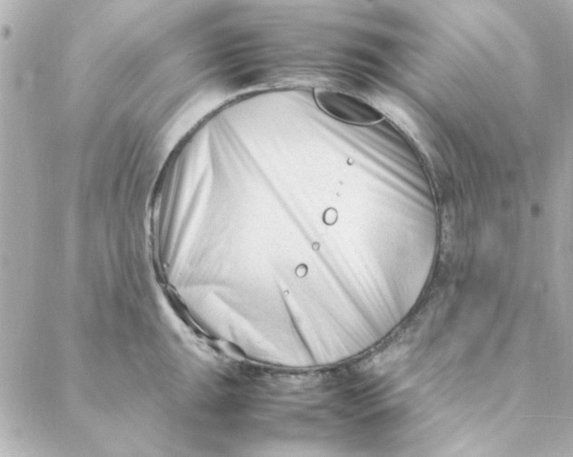 X0000088171047200706051111