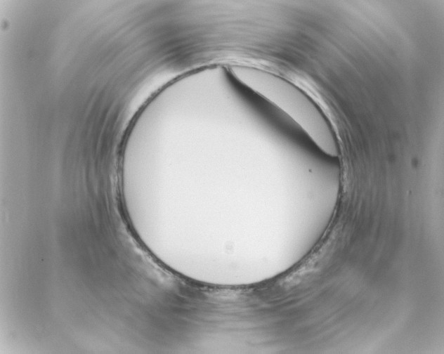 X0000088171048200706051111