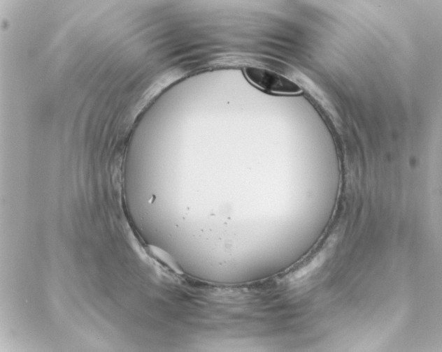 X0000088171049200706051111