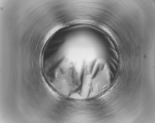 X0000088171050200706051111