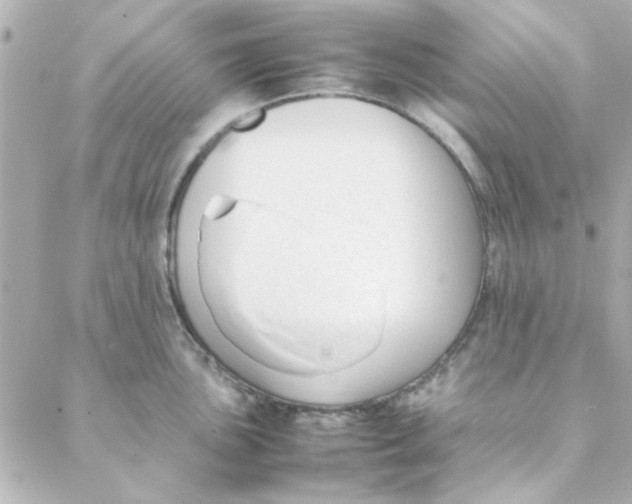 X0000088171051200706051111