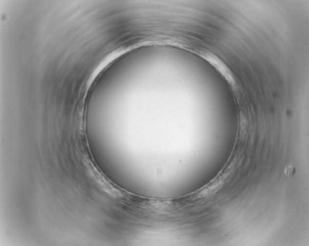 X0000088171052200706051111