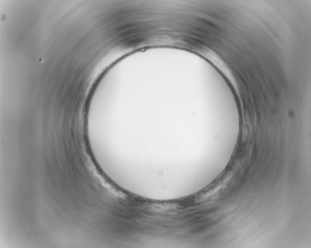 X0000088171053200706051112