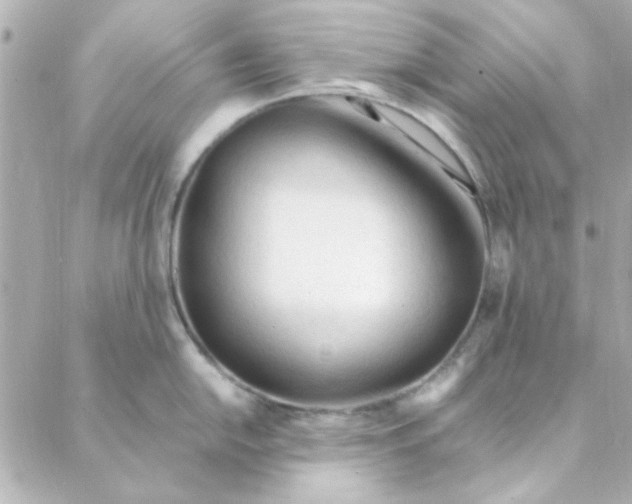 X0000088171054200706051112