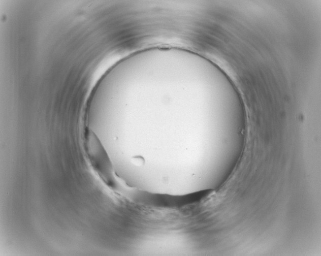 X0000088171056200706051112