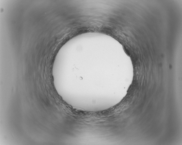 X0000088171057200706051111