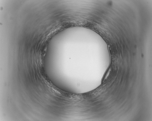 X0000088171058200706051111