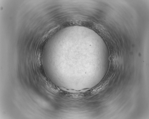 X0000088171060200706051111