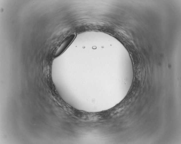 X0000088171061200706051111