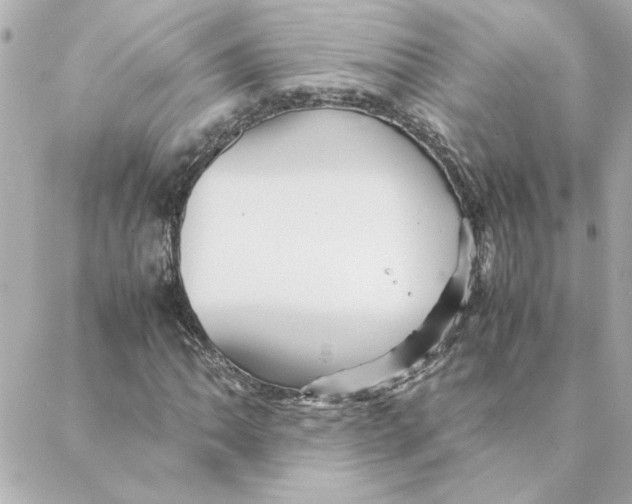 X0000088171062200706051111