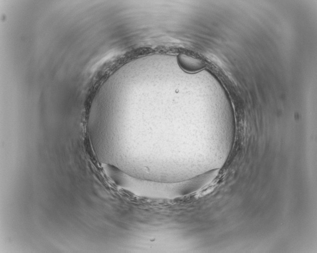 X0000088171063200706051111