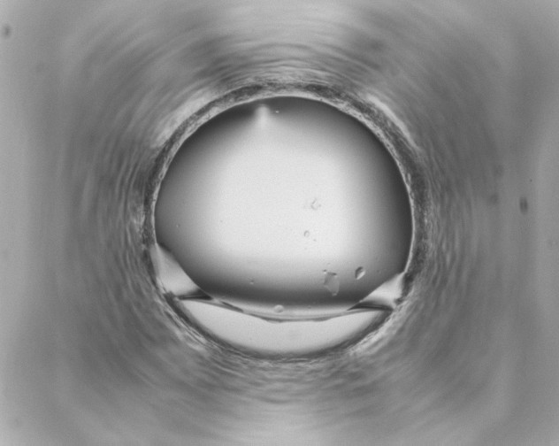 X0000088171065200706051111