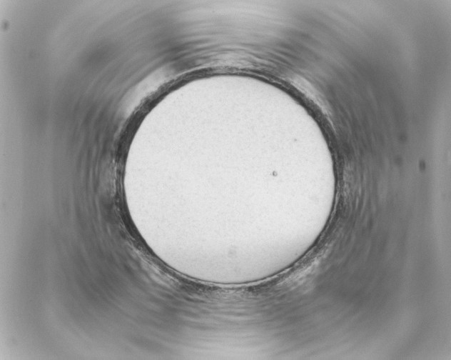 X0000088171067200706051111