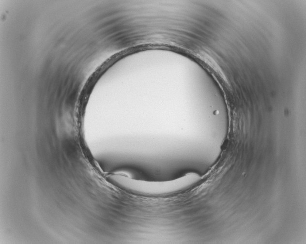 X0000088171068200706051111