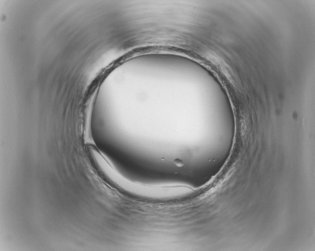 X0000088171069200706051111