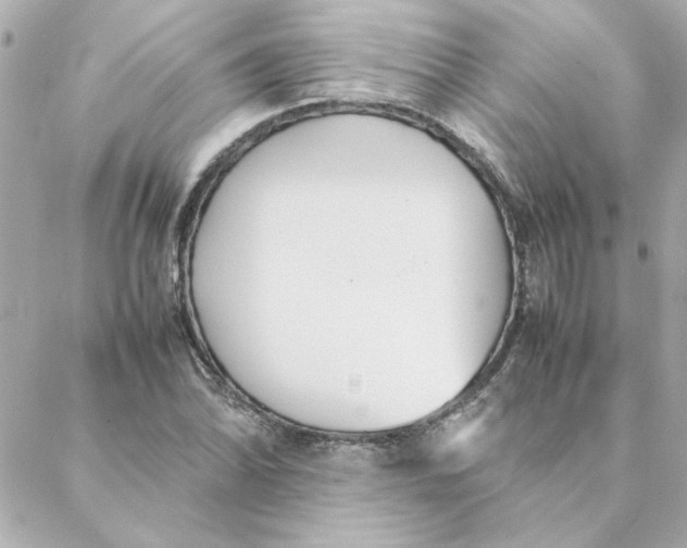 X0000088171070200706051111