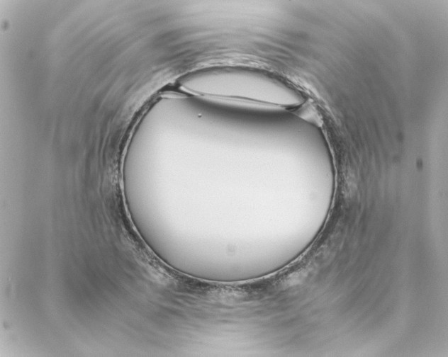 X0000088171073200706051111