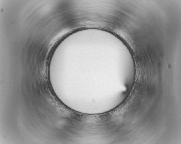 X0000088171074200706051110