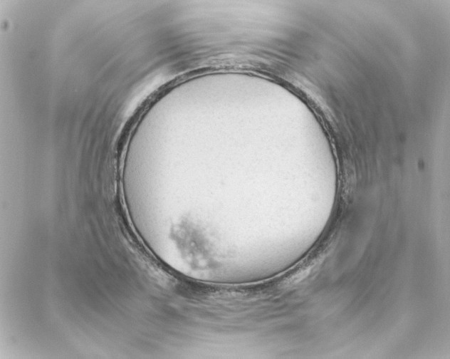 X0000088171075200706051110