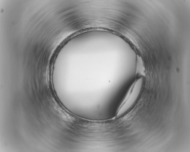 X0000088171076200706051110